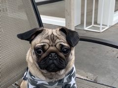 -纽道沸巫山纸包鱼(中海国际店)