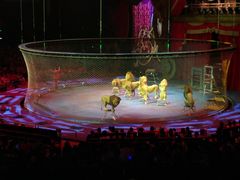 -珠海横琴长隆《卡卡虎奇遇记》