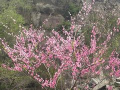 -泰山风景名胜区
