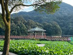 -广州市石门国家森林公园