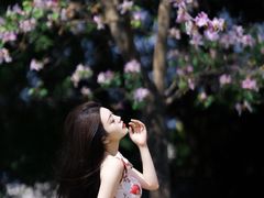 -深圳皇庭V酒店