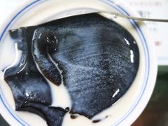 -五福堂龟苓膏(河东北山店)