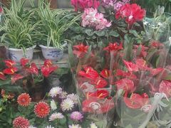 -无锡文化工艺品市场(槐古路店)