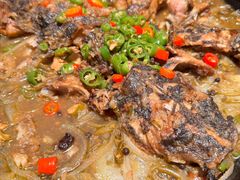 -老板恋上鱼(恒隆广场店)