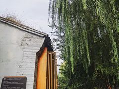 -春风习习