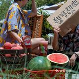 混果汁西瓜桃子系列回归