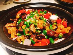 -拈菜(观音桥阳光世纪店)
