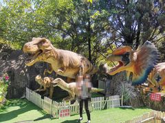 -昆明动物园