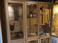 -白兔子密室(长寿路店)