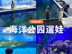 -重庆欢乐海底世界