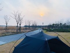 -春花秋色城市公园