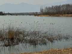 -野鸭湖国家湿地公园