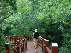 -大岭沟猕猴桃谷风景区