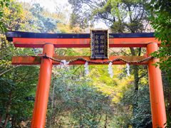 -岚山猴子公园