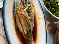 -真定郝家排骨(正定县总店)