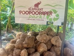 -大象粑粑造纸公园