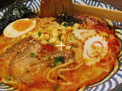 鲜熬豚骨地狱乌冬面-仙隐小鹿中華の日料(正弘城店)