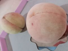 -南汇水蜜桃采摘(大团店)