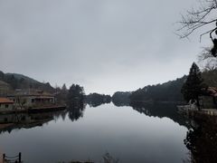 -庐山风景区花径公园