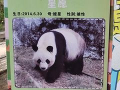 -泉州海丝野生动物世界