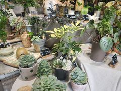 -弗劳尔花艺坊(龙涛店)