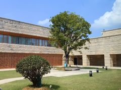 -盘龙城国家考古遗址公园