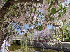 -元大都城垣遗址公园