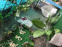 -厦门燕子坞客栈