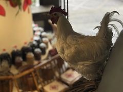 -洞庭土菜馆(天河北总店)