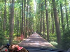 android_upload_pic-上海怡沁园度假酒店