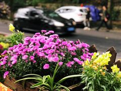 -国生茶庄·地道农家菜团建活动
