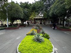-温江公园