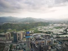 -瑞吉酒店·The Drawing Room闲逸廊·云端下午茶·夜奢Whiskey