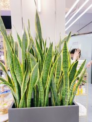 -FUTURE HN男士发型风格设计