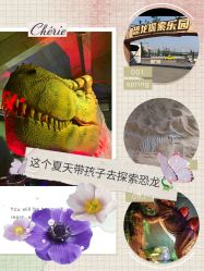 -恐龙探索乐园(磁器口店)
