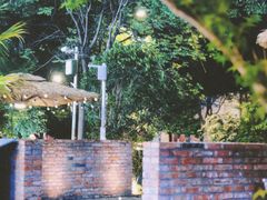 -成都娃娃花园餐厅(河西旗舰店)