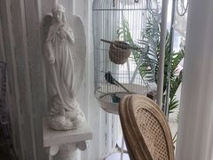 -共舞时光猫咖·狗咖(新街口店)