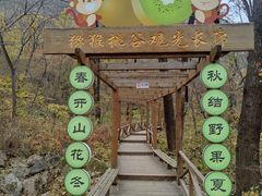 -大岭沟猕猴桃谷风景区