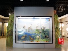 -下渚湖国家湿地公园科普馆