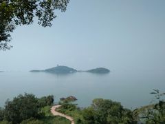 -上海市保健医疗中心