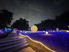 -广西壮族自治区药用植物园