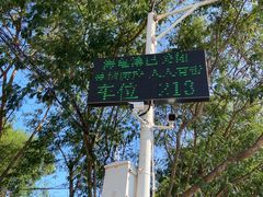 -广东惠东海龟国家级自然保护区
