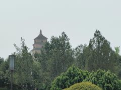 -大雁塔北广场音乐喷泉