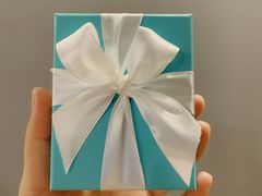 -Tiffany & Co.蒂芙尼
(天津万象城店)