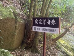 -大鄣山卧龙谷景区