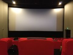 -武汉华夏国际影城(鲁广店)