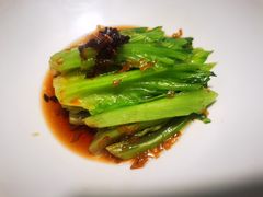 红葱酱灼罗马生菜-肆月河豚·新淮扬(金融街店)