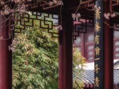 -堤角公园