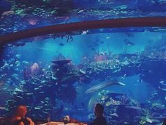 -迪拜帆船酒店海底餐厅