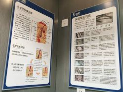 -尚逸国际护肤造型